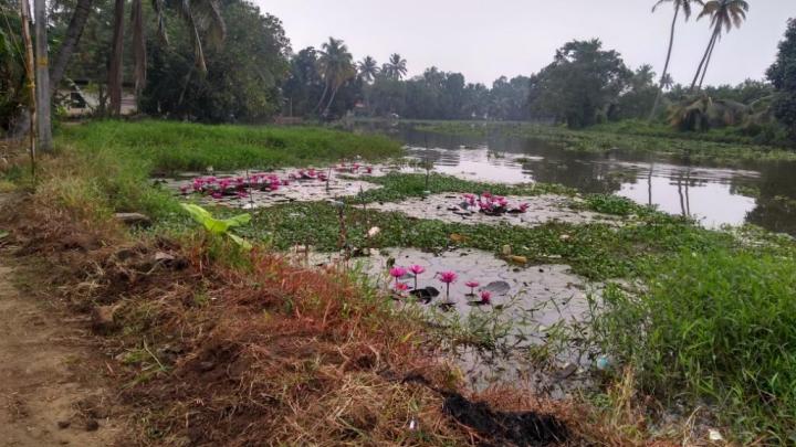 12 Backwater Kumarkom