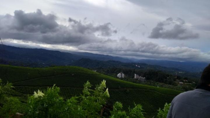 33 Green Munnar