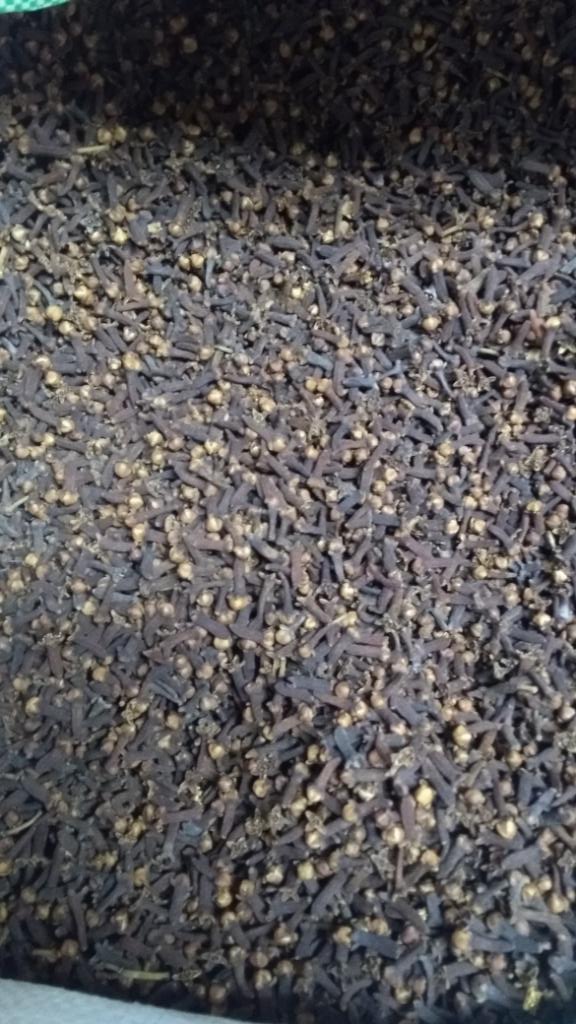 7 Clove Spice Kerala