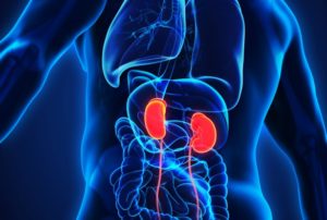 Kidney Diseases