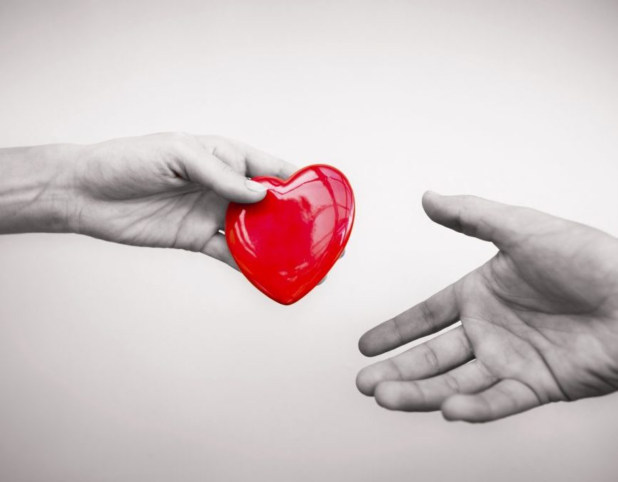 Organ Donation India