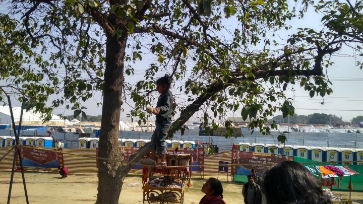 IMG_20190130_123424705_HDR - Copy - Copy