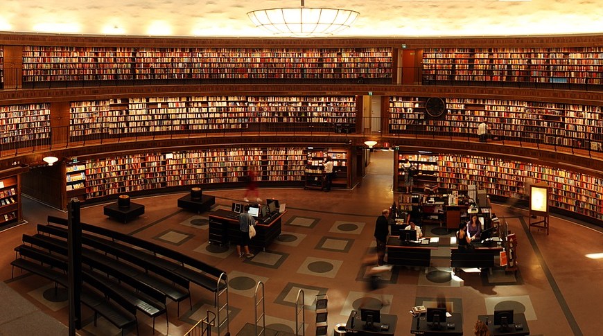 Everything about Prostate Health